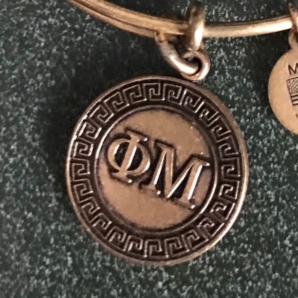 Alex and Ani Expandable Wire Bangle Bracelet 2015 - Picture 9 of 13